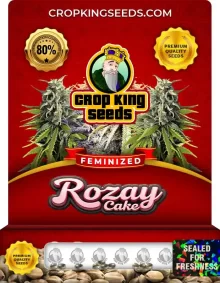 Rozay Cake Feminized
