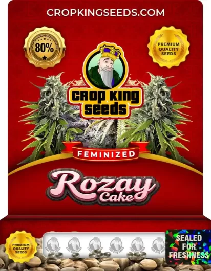 Rozay Cake Feminized