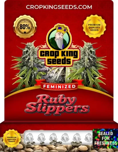 Ruby Slippers Feminized
