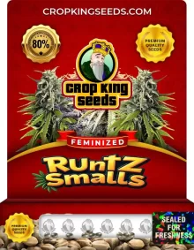 Runtz Smalls Feminized