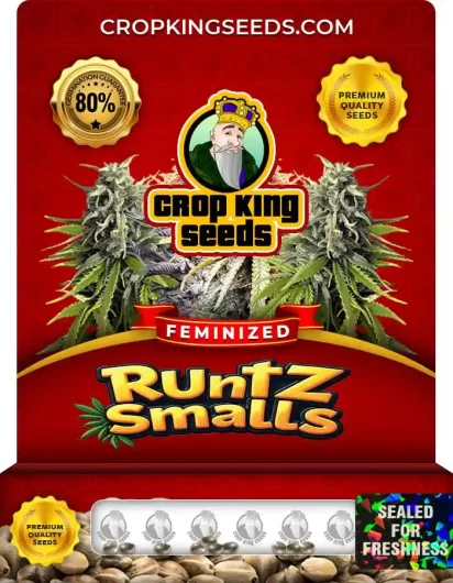 Runtz Smalls Feminized