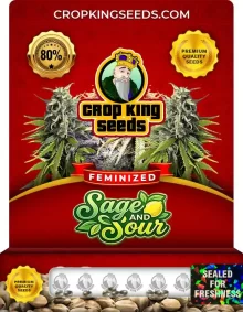 Sage and Sour Feminized