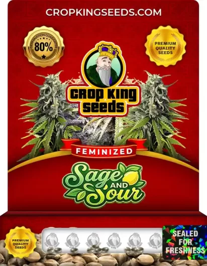 Sage and Sour Feminized
