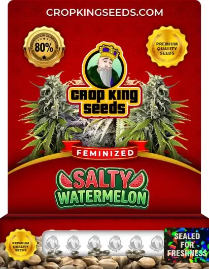 Salty Watermelon Feminized
