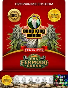San Fermodo Skunk Feminized