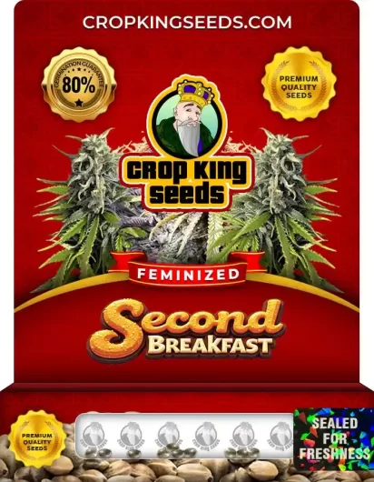 Second Breakfast Feminized