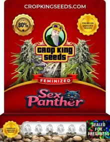Sex Panther Feminized