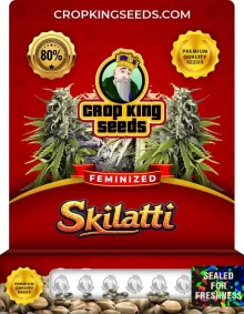 Skilatti Feminized