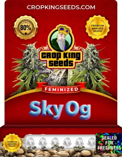 Sky OG Feminized