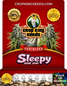 Sleepy Joe OG Feminized