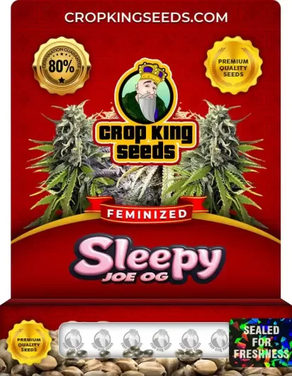Sleepy Joe OG Feminized