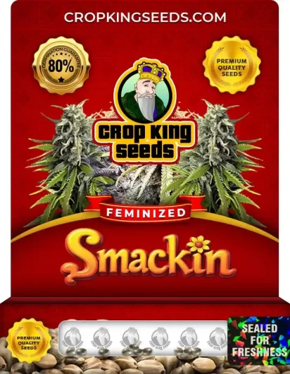 Smackin Feminized