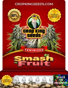 Smash Fruit Feminized