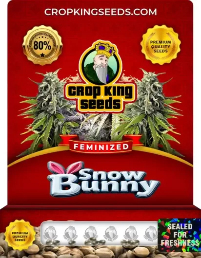 Snow Bunny Feminized