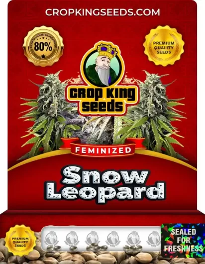 Snow Leopard Feminized