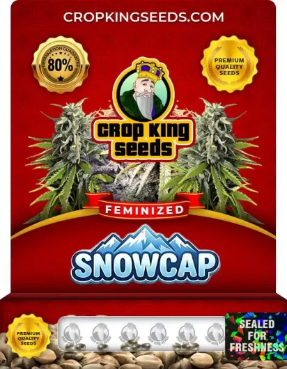 Snowcap Feminized