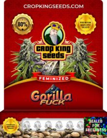 Gorilla Fuck Strain