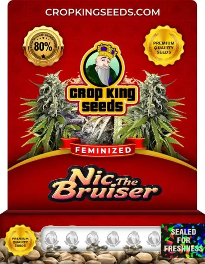 Nic the Bruiser Strain