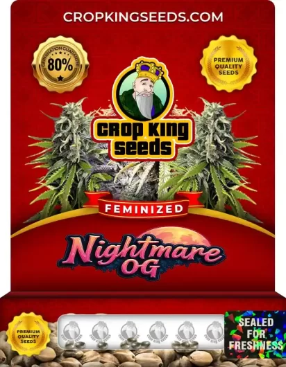 Nightmare OG Strain