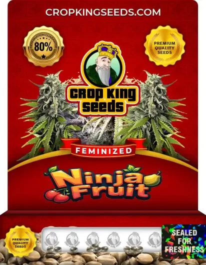 Ninja Fruit Strain
