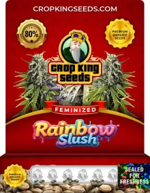 Rainbow Slush Strain