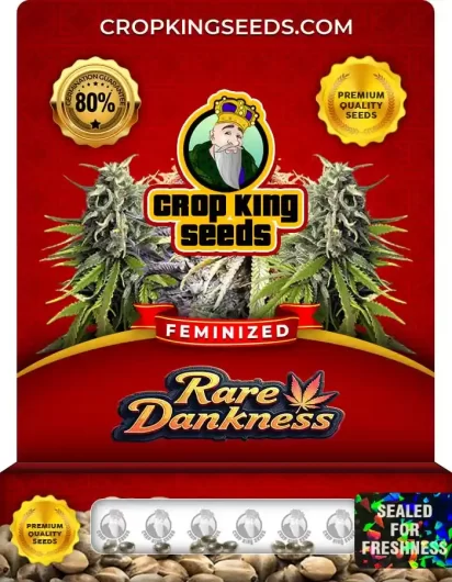 Rare Dankness Strain