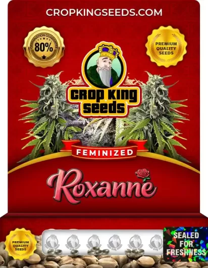 Roxanne Strain