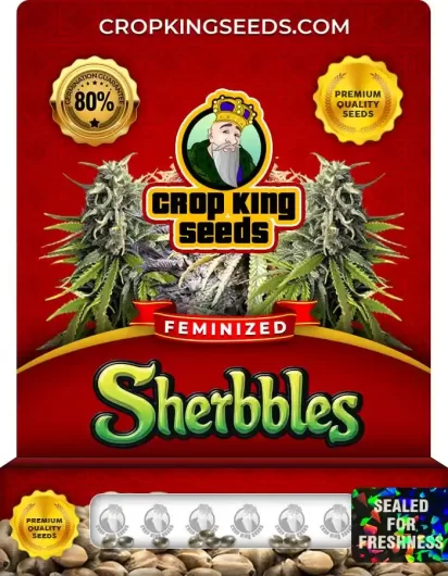 Sherbbles Strain