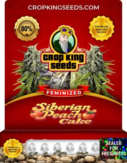 Siberian Peach Cake Strain