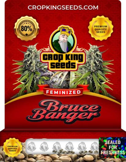 Bruce Banger Strain