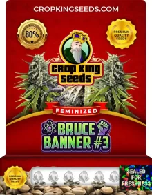 Bruce Banner #3 Feminized