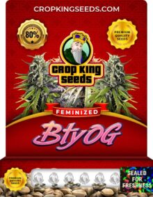 BTY OG Strain