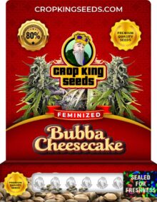 Bubba Cheesecake Strain