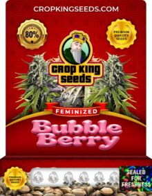 Bubble Berry Strain