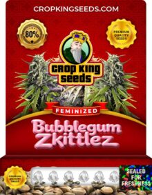 Bubblegum Zkittlez Strain