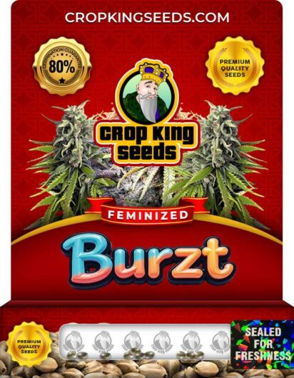 Burzt Strain