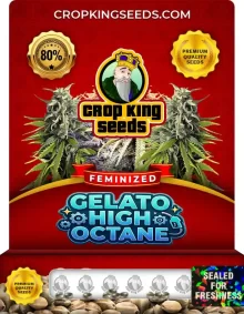 Gelato High Octane Feminized