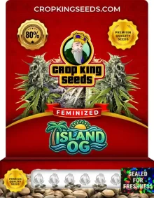 Island OG Feminized