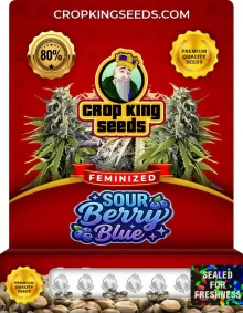 Sour Berry Blue Feminized
