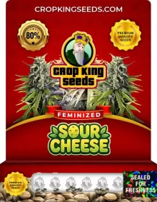 Sour Cheese Feminized