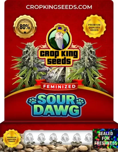 Sour Dawg Feminized
