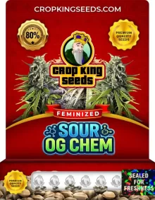 Sour OG Chem Feminized Seeds