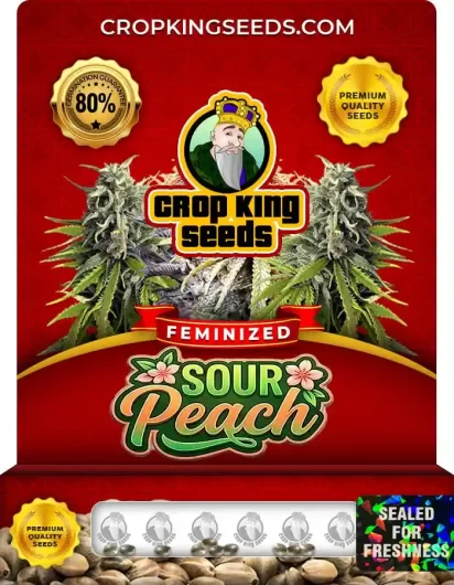 Sour Peach Feminized