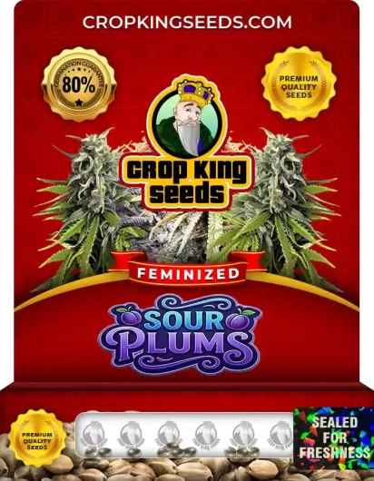 Sour Plums Feminized