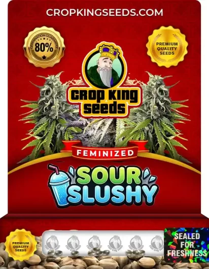 Sour Slushy Feminized