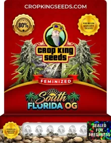 South Florida OG Feminized