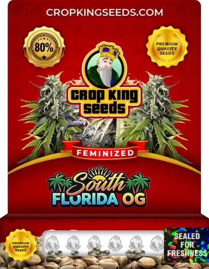 South Florida OG Feminized