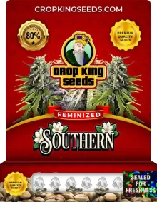 Southern Feminized Seeds