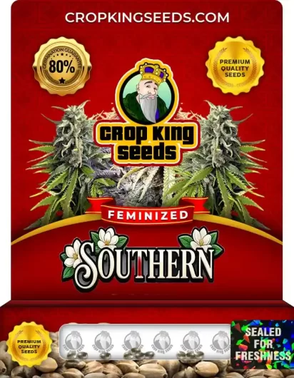 Southern Feminized