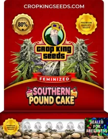 Southern Pound Cake Feminized